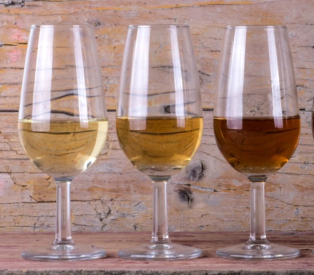 Wine Tasting 101: Sip with Confidence